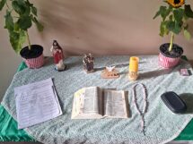 A Pastoral da Criança na Arquidiocese de Sorocaba: um trabalho de 36 anos em prol da vida