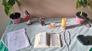 A Pastoral da Criança na Arquidiocese de Sorocaba: um trabalho de 36 anos em prol da vida