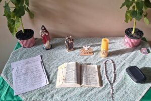 A Pastoral da Criança na Arquidiocese de Sorocaba: um trabalho de 36 anos em prol da vida