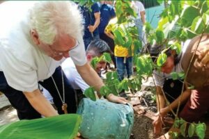 “Semeaduras”: ações de ecologia integral da Arquidiocese de Manaus