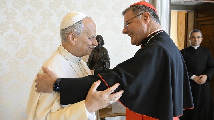 Em audiência com o Papa, Card. Paulo reforça convite a visitar o Brasil