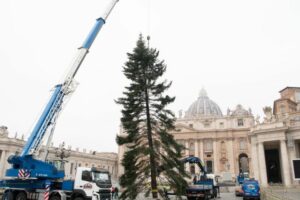 Natal no Vaticano: presépio da Campânia e árvore da província de Bolzano