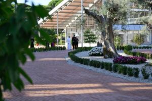 Earthday.org: o compromisso da Santa Sé com o clima tem valor histórico