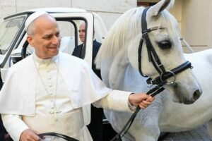 Um polonês presenteou o Papa com um cavalo árabe