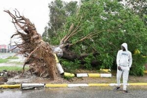 Leão XIV recorda as vítimas do furacão Melissa, na Jamaica
