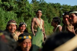 Metade dos povos indígenas isolados pode desaparecer em 10 anos