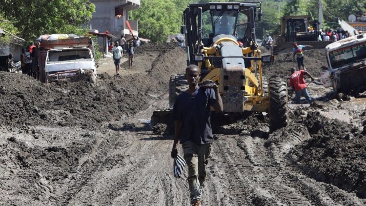 Santa Sé: proteger e cuidar da criação é responsabilidade de todos
