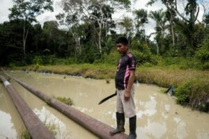 COP30: preservar a casa comum, porque nós não temos um plano B