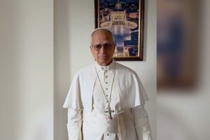 Leão XIV às Igrejas do Sul Global na COP30: Amazônia sinal vivo da criação