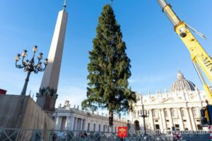 Presépio e árvore de Natal serão inaugurados na Praça São Pedro dia 15 de dezembro