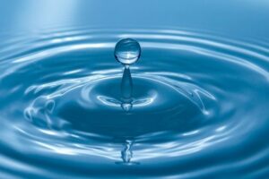 A necessidade da água para a Inteligência humana e artificial