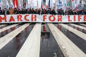 Papa: uma sociedade só é saudável quando tutela a sacralidade da vida humana