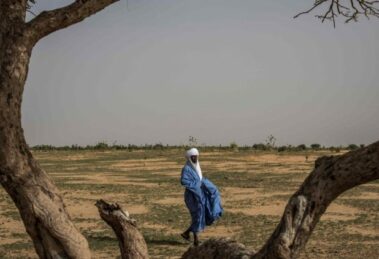 Estatuto para um novo impulso à missão da Fundação para o Sahel