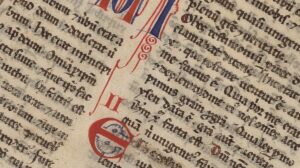 Reflexão para o 5º Domingo do Tempo Comum