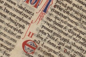 Reflexão para o 5º Domingo do Tempo Comum