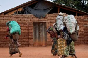 RD Congo: um novo massacre ensanguenta Kivu do Norte