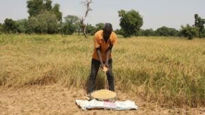 De Dacar, uma nova fase para a Fundação João Paulo II para o Sahel