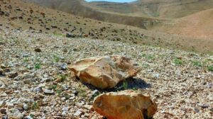 O deserto florescerá: o profundo e transformador sentido da Quaresma