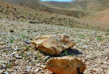 O deserto florescerá: o profundo e transformador sentido da Quaresma