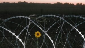 Os dias que precederam a invasão da Ucrânia pela Rússia