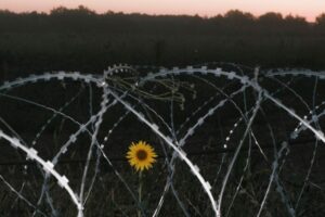 Entre desmentidos e alertas, os dias que precederam a invasão da Ucrânia