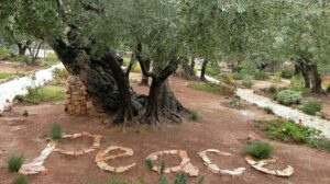COMECE e UISG: oração para silenciar as armas no Oriente Médio