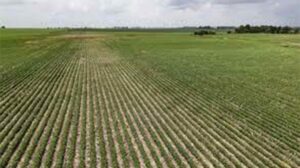 Santa Sé: modelos mais eficientes e sustentáveis para a produção agroalimentar