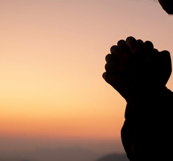 Peregrinos de Esperança: Perseverar quando o desânimo bate à porta