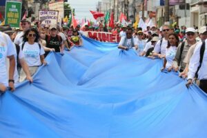 Programa online do Movimento Laudato Si’ abre inscrições para 2026