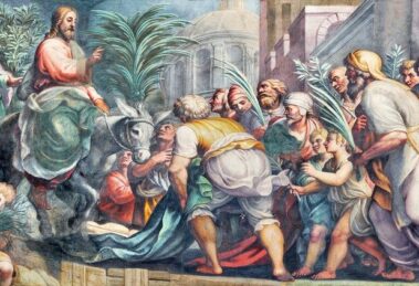 Reflexão para o Domingo de Ramos