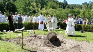 Lusofonias – Da Ginkgo Biloba à Flor da Amendoeira