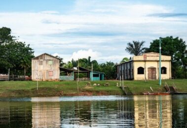 A missão evangelizadora da Igreja no Brasil: uma voz profética