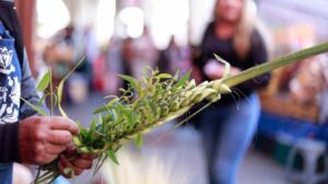 América Latina: carta dos bispos para a Semana Santa