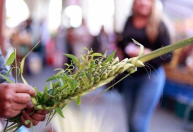 América Latina: carta dos bispos para a Semana Santa