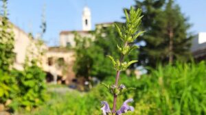 Bienal, apresentado o Pavilhão da Santa Sé: desacelerar para ouvir