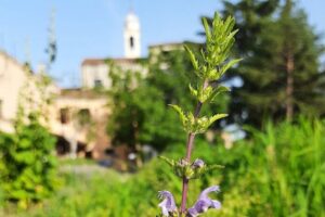 Bienal, apresentado o Pavilhão da Santa Sé: desacelerar para ouvir