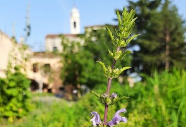 Bienal, apresentado o Pavilhão da Santa Sé: desacelerar para ouvir