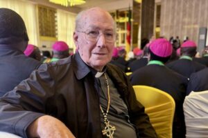 O bispo missionário em Camarões: África sofre, mas a Igreja floresce. O futuro é aqui