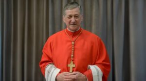 Cardeal Cupich: a paz não é a ausência de guerra, mas obra da justiça