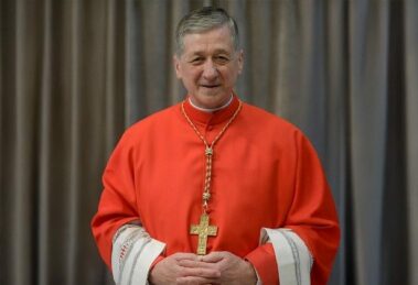 Cardeal Cupich: a paz não é a ausência de guerra, mas obra da justiça