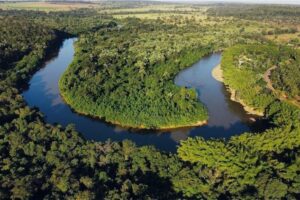 Nasce o Observatório pelo Ambiente: “a tecnologia deve sustentar a paz”
