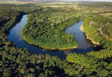 Nasce o Observatório pelo Ambiente: “a tecnologia deve sustentar a paz”