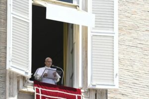 Papa na Semana Laudato si': cuidar da paz é cuidar da vida