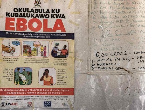 Ebola: a OMS declara emergência de saúde pública internacional entre a RD do Congo e Uganda