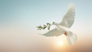 Paz mundial, Igreja e a urgência de desarmar o coração