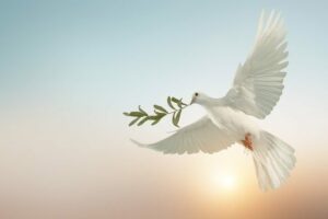 Paz mundial, Igreja e a urgência de desarmar o coração