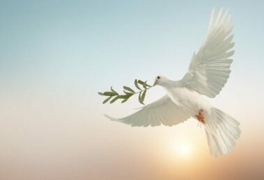 Paz mundial, Igreja e a urgência de desarmar o coração