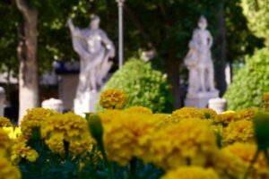 Madrid se reveste de amarelo e branco para receber Leão XIV