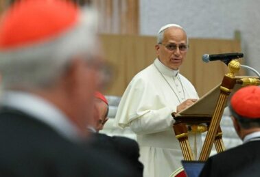 Papa aos cardeais: “Preciso do apoio de vocês”. Peço franqueza e lealdade
