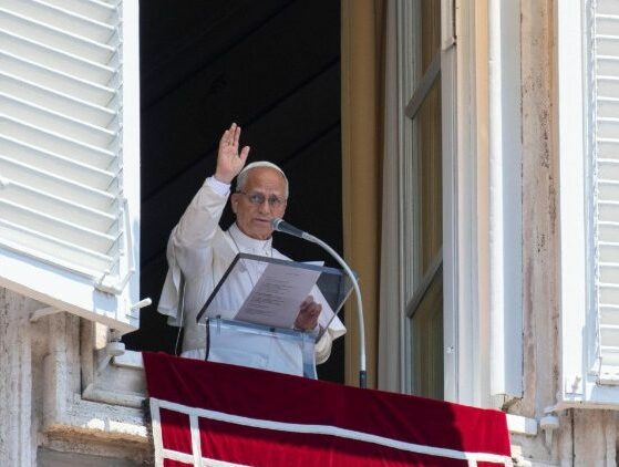 Papa: obcecados por ter e possuir, Jesus nos convida a abraçar a Cruz